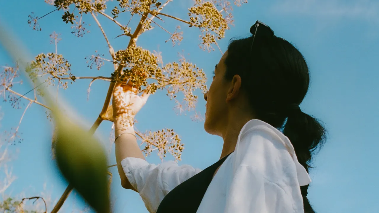 A white architectural structure on a beach overlooking the sea with clear blue water and sky