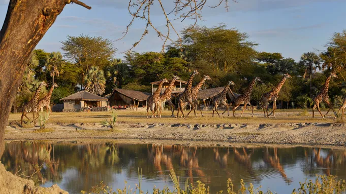 Auberge Just Added 9 Safari Lodges and Camps to Its Collection