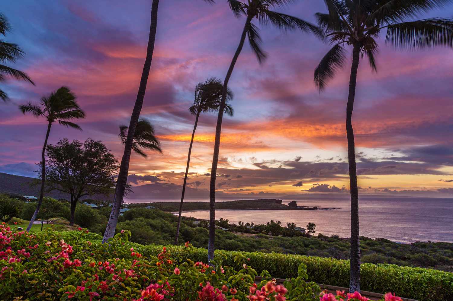 A tropical sunset over Manele Bay on Lanai, with palm trees framing the ocean